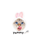 猫ベルちゃんの生活 01 (英語 Ver.)（個別スタンプ：20）