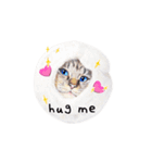 猫ベルちゃんの生活 01 (英語 Ver.)（個別スタンプ：21）