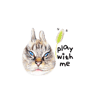 猫ベルちゃんの生活 01 (英語 Ver.)（個別スタンプ：22）