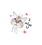 猫ベルちゃんの生活 01 (英語 Ver.)（個別スタンプ：23）