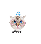 猫ベルちゃんの生活 01 (英語 Ver.)（個別スタンプ：24）