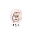 猫ベルちゃんの生活 01 (英語 Ver.)（個別スタンプ：25）