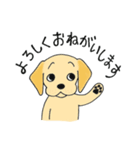 ラブラブレトリーバー（個別スタンプ：12）