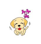 ラブラブレトリーバー（個別スタンプ：17）