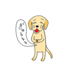 ラブラブレトリーバー（個別スタンプ：22）