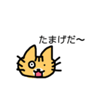 ネコ時々山形弁（個別スタンプ：24）