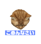 しょぼくれ！ち〜み〜スタンプ（個別スタンプ：5）