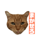 しょぼくれ！ち〜み〜スタンプ（個別スタンプ：7）