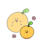 みかん キンカン（個別スタンプ：15）