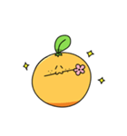 みかん キンカン（個別スタンプ：23）