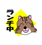 毎回ねこスタンプ 3（個別スタンプ：3）