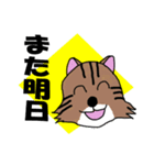 毎回ねこスタンプ 3（個別スタンプ：10）