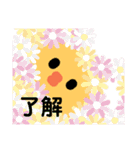 丸ひよ 大切な仲（個別スタンプ：5）