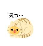 丸ひよ 大切な仲（個別スタンプ：18）
