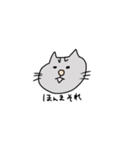 とら太の日常使いスタンプ（個別スタンプ：13）