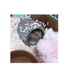 りいたその日常。1（個別スタンプ：3）
