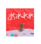 りいたその日常。1（個別スタンプ：8）