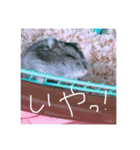 りいたその日常。1（個別スタンプ：10）