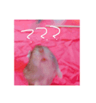 りいたその日常。1（個別スタンプ：15）