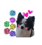 くっきーおれお（個別スタンプ：2）