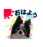 くっきーおれお（個別スタンプ：4）