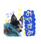くっきーおれお（個別スタンプ：6）