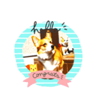 コーギーᑦᑋᵃⁿ♪stamp❣❣（個別スタンプ：7）