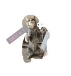 美人猫 琥珀ちゃん（個別スタンプ：3）