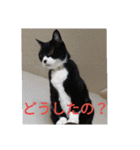 ルナタカスタンプ（個別スタンプ：7）