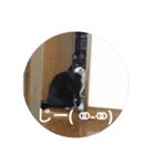 ルナタカスタンプ（個別スタンプ：11）