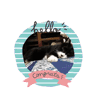 ルナタカスタンプ（個別スタンプ：13）