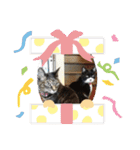 ルナタカスタンプ（個別スタンプ：28）