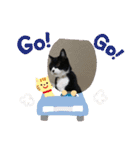 ルナタカスタンプ（個別スタンプ：34）