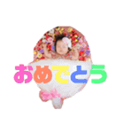 さとみしまいっ（個別スタンプ：22）