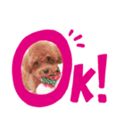 ジョンだよ（個別スタンプ：3）