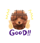 ジョンだよ（個別スタンプ：4）