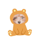 ジョンだよ（個別スタンプ：6）