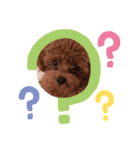 ジョンだよ（個別スタンプ：8）