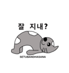 猫ヨガスタンプ/韓国語（個別スタンプ：15）