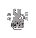 猫ヨガスタンプ/韓国語（個別スタンプ：20）