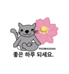 猫ヨガスタンプ/韓国語（個別スタンプ：36）