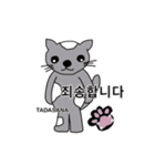 猫ヨガスタンプ/韓国語（個別スタンプ：37）