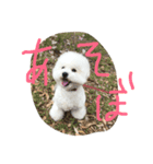メルくんスタンプ（個別スタンプ：2）