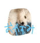 メルくんスタンプ（個別スタンプ：8）
