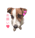 わたしの愛犬ʚ❤︎ɞ（個別スタンプ：1）