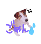 わたしの愛犬ʚ❤︎ɞ（個別スタンプ：6）