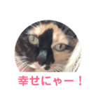 うめたんの友達なっちゃんにゃ！可愛いにゃ（個別スタンプ：1）