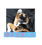 うめたんの友達なっちゃんにゃ！可愛いにゃ（個別スタンプ：5）