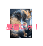 うめたんの友達なっちゃんにゃ！可愛いにゃ（個別スタンプ：7）