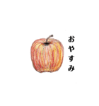 色鉛筆画りんご（個別スタンプ：4）